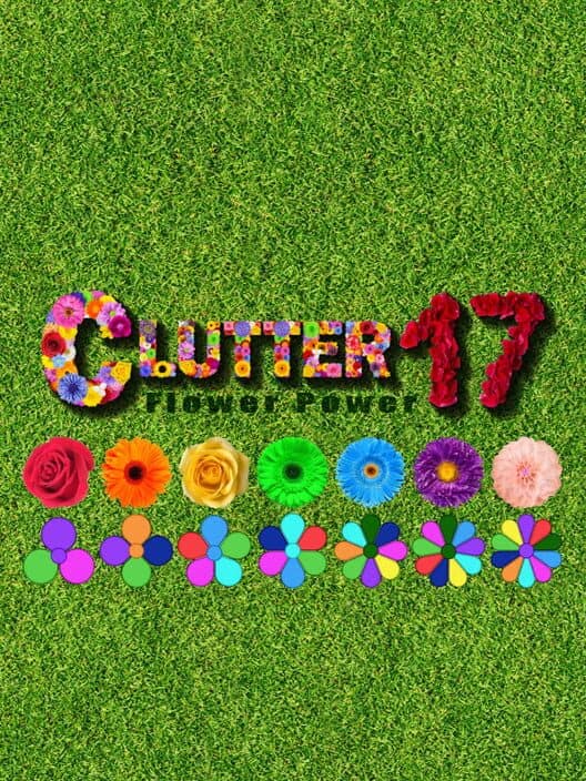 Clutter 17: Flower Power Collector's Edition cover art